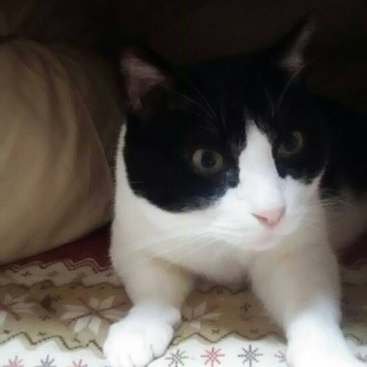 7cd42044 5825 4811 afdb 5369aaa2fcbf