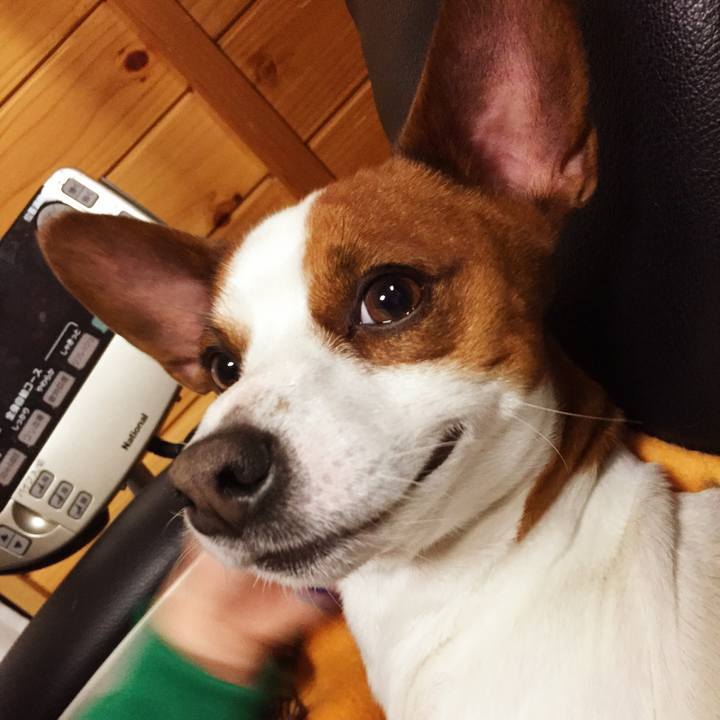 7cd533f4 d235 4a7a 9b14 376034b93041