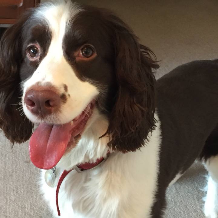 7cd534db ad2b 414a 9002 fb24017e4e28