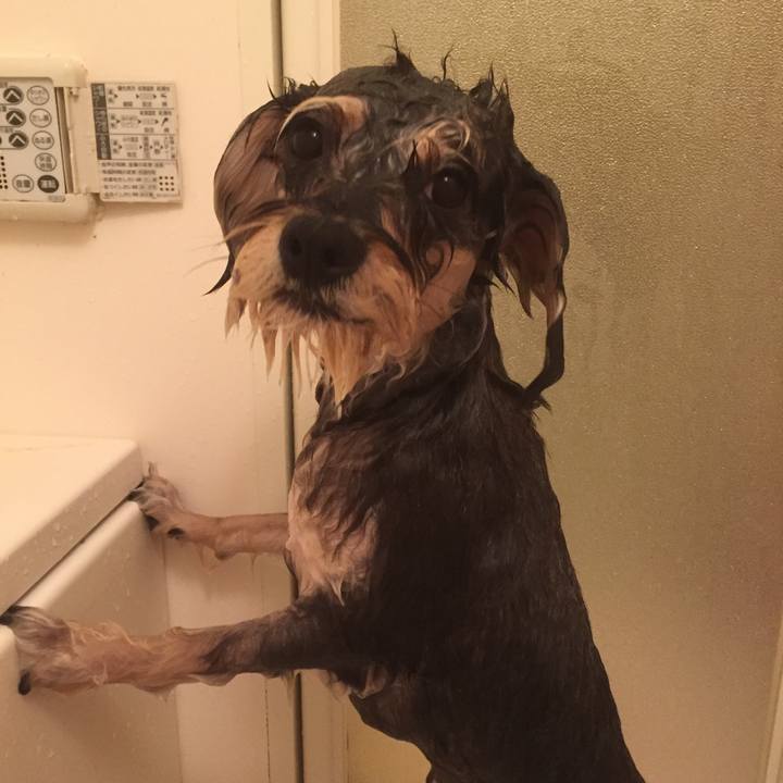 7cd53aa9 371d 444b 99d1 099bc71d1c5e