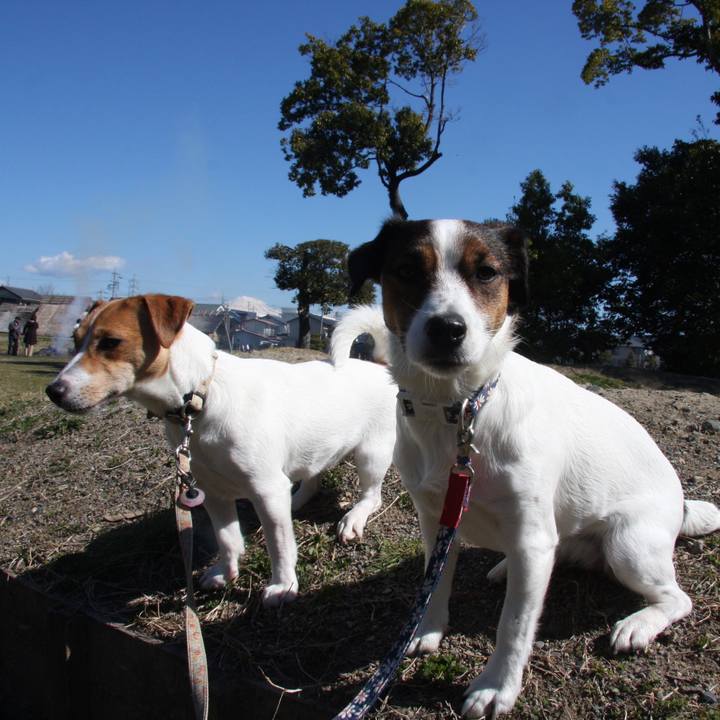 7cd63770 dfcd 4914 abcb 564f0f29319b