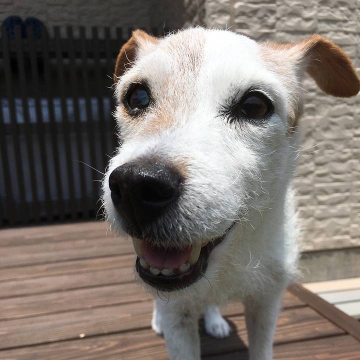 7cd64756 ea74 4342 a69f 0e03977fe343