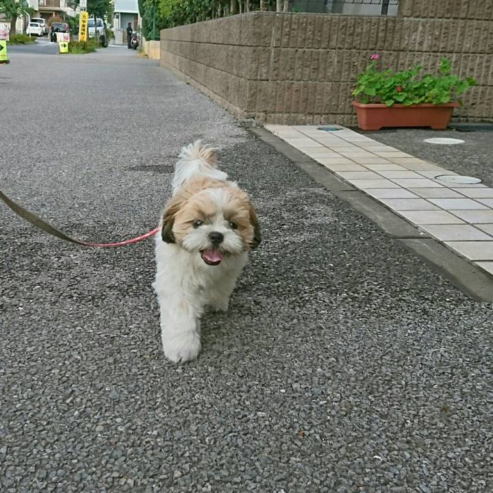 7cd6e7e3 a7ff 4eb6 9156 586aec349d51