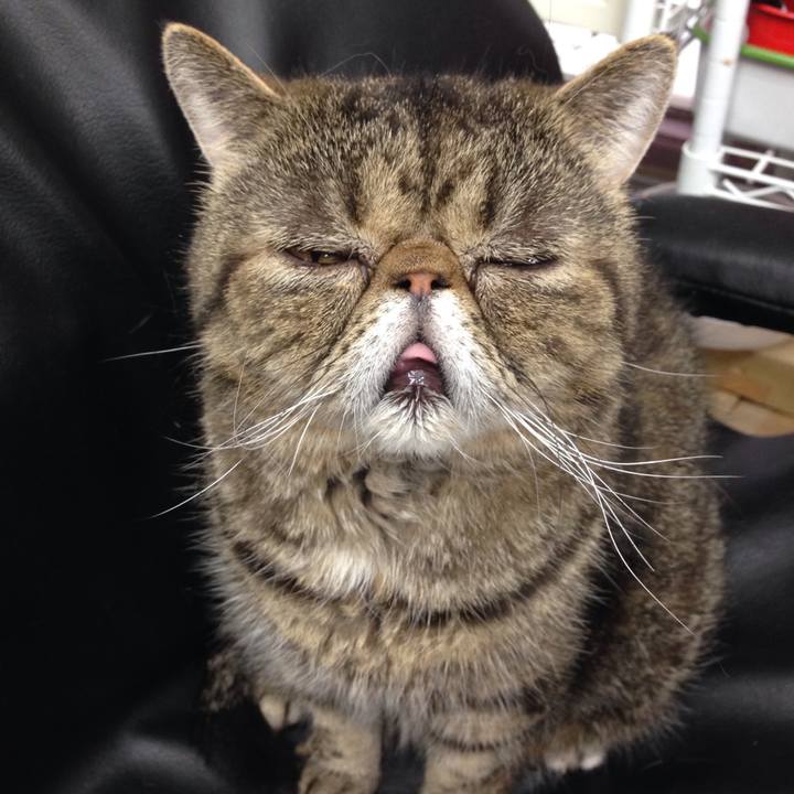 7cd6f2ec 9013 4013 b1af bd0c76301430