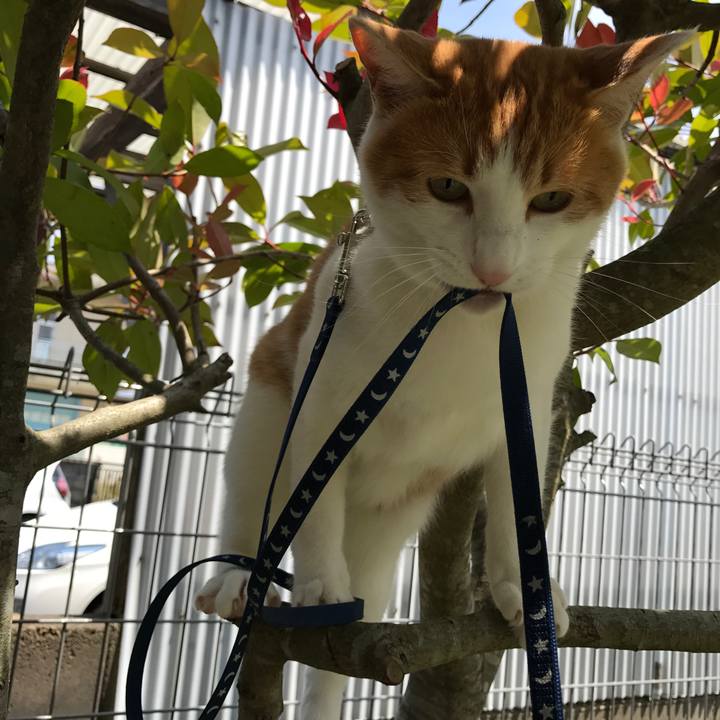 7cd71cee 315a 4add 8cd0 f710fbcdd065