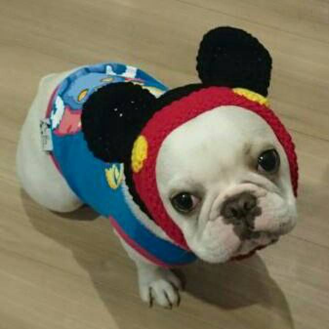 7cd75502 1329 4211 a87b 37073941d1bd