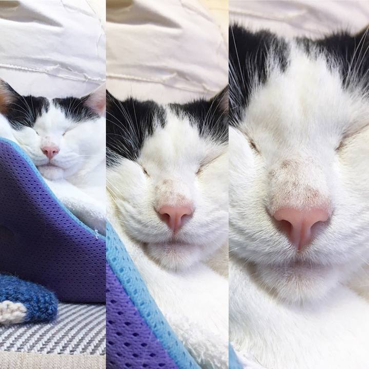 7cd7875f ff47 4088 a6ff 5a5da91967b5