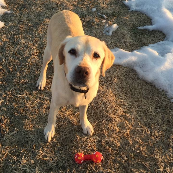 7cd7dcb7 b4b4 486a b041 0293e62185de