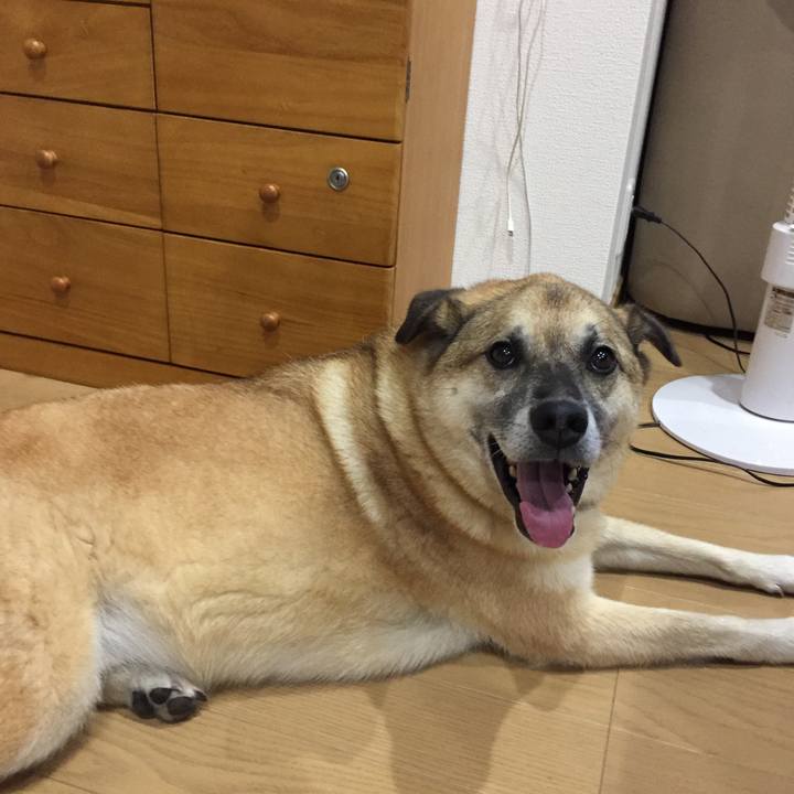 7cd83778 3ead 458f 91ff c3ce29166d96