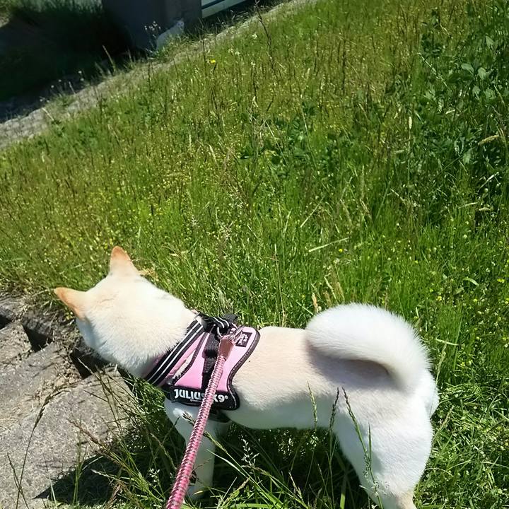 7cd86101 9cd3 4a7e 89a6 5608ab78963b