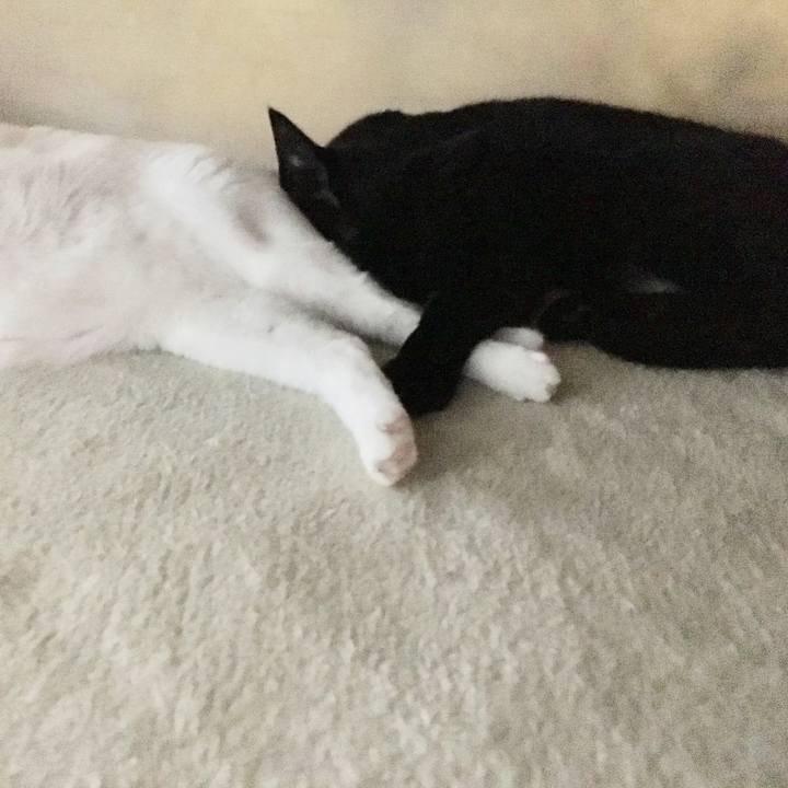 7cd8f88a 2670 41d2 9454 b67fb43c2c03