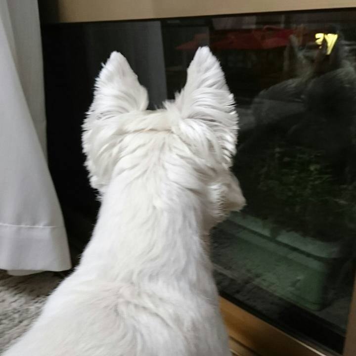 7cd91646 da1b 42cf ba5a a84af8968074