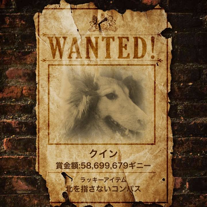 7cd968ba 7e83 44d2 a604 c98694c204ae