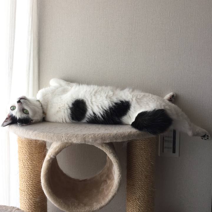 7cd9718b fdc9 4526 85c5 0518162e4df5