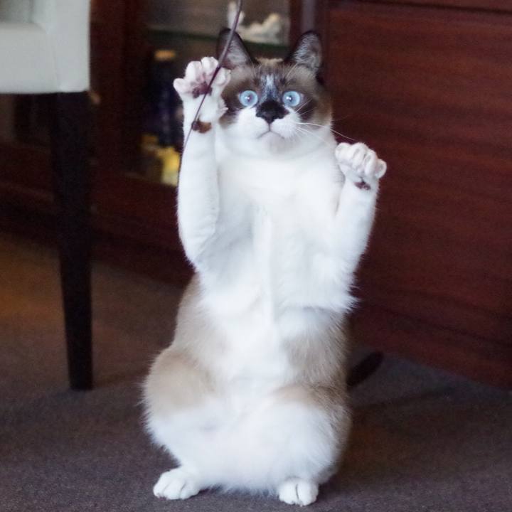 7cd9ad34 42b5 461a 8ea9 ce9ab3008818