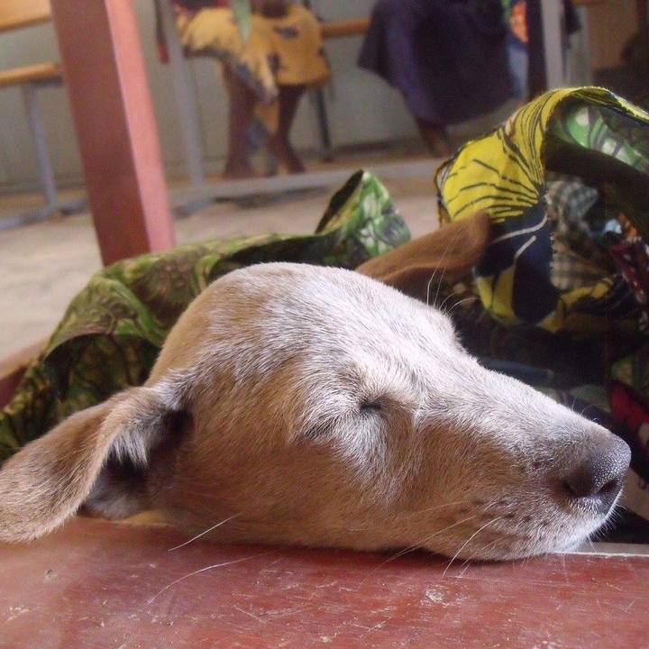 7cd9b702 e3b7 4f90 938d 60bdfd02bf24