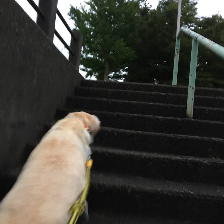 7cda802b 6411 432f ab65 23c665f839c4