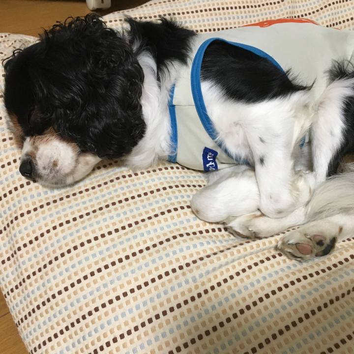 7cdad70b 8345 4aee bb4f c32d4e407b74