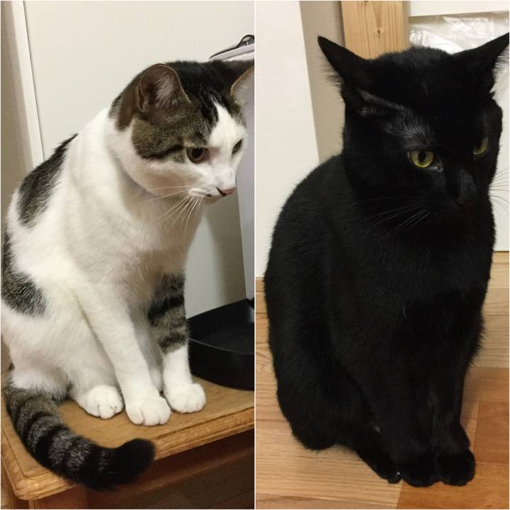 7cdafb78 86ab 47d1 bd61 279a9b1eb17e