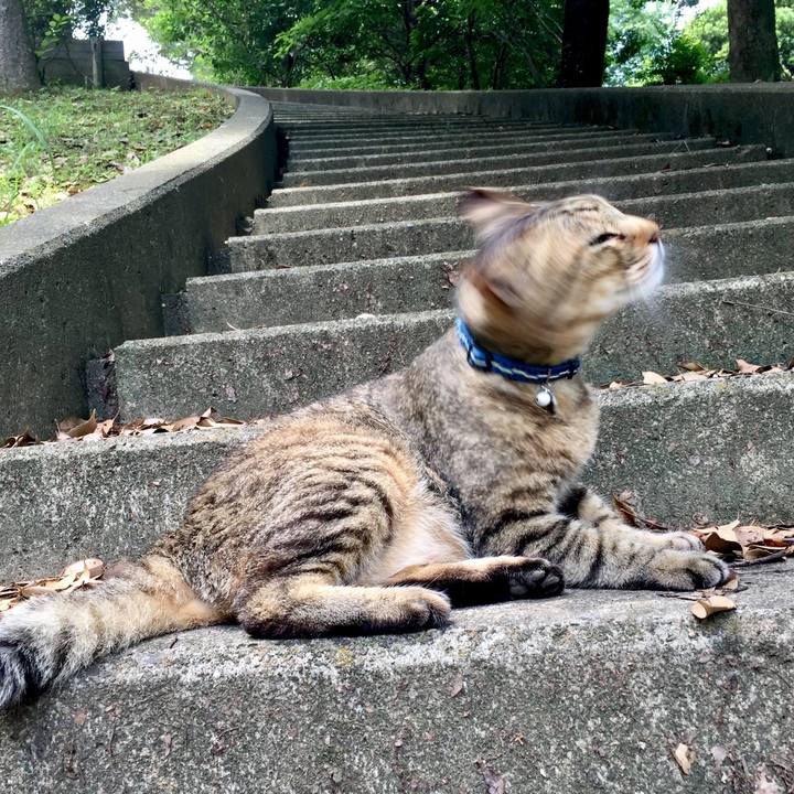 7cdb0229 a2f0 4e52 9b8b 884444990a3a