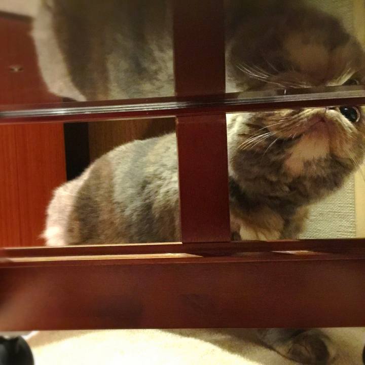 7cdb0e0c d33d 4987 b629 f5870ea55784