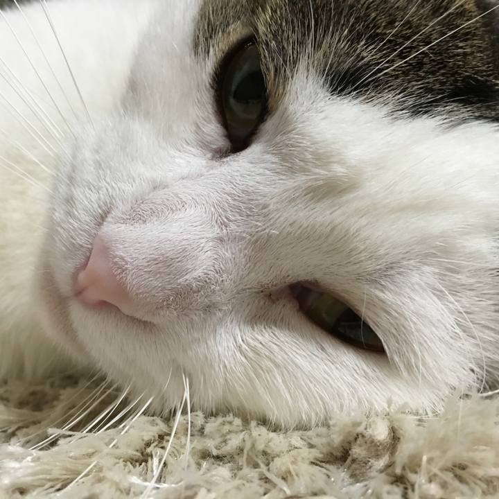 7cdb4034 dbe3 4539 8bc0 c1b88f90787b