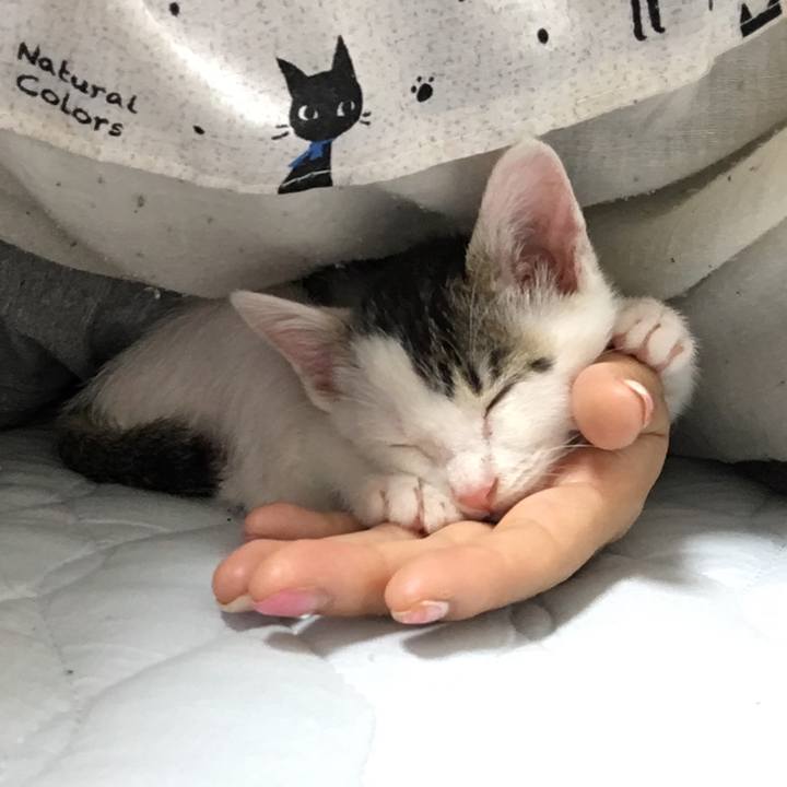 7cdb5706 8a5c 45b9 b37c 78f8d7cc2683