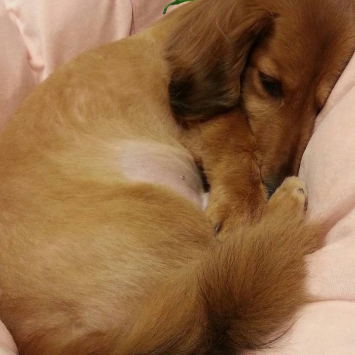 7cdc3397 cb72 411c a148 4308ea1d1be2