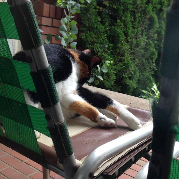 7cdd7c71 5181 4ffb b22b 674cdb7fd087