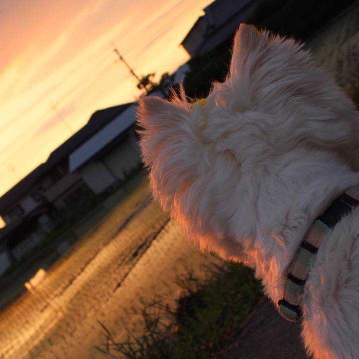 7cdda896 a6df 4b0f 9ec7 2f864d1e461e