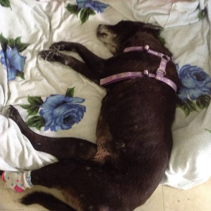 7cde083a 3f35 4750 b54f 0518df29a93a