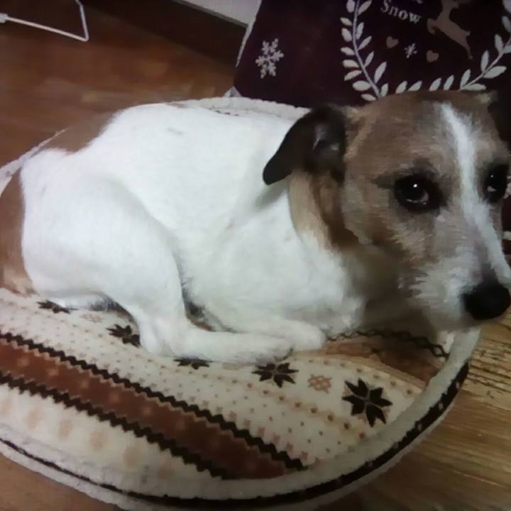 7cde9a8a 2db4 496d 93e6 011b23f1621d