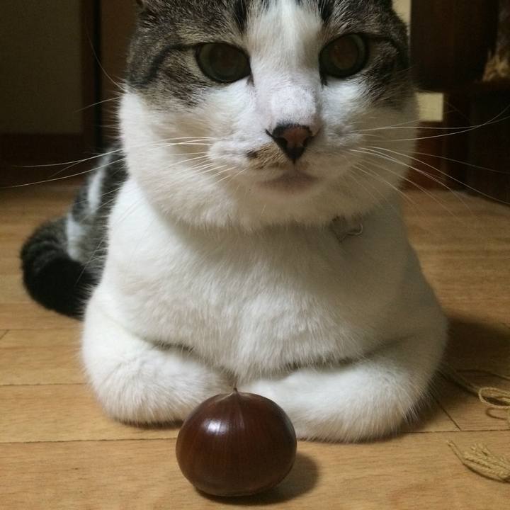 7cdead80 c0d1 46ed aeb7 45d8a1c38ed5