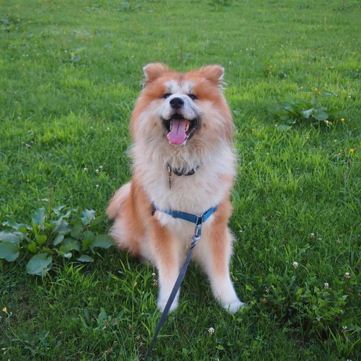 7cdf0622 f506 4bfd 95a8 c521b0591760