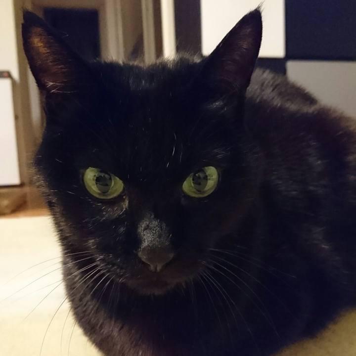 7cdf0db2 0e50 4d85 9f4a bd0f19a244d9