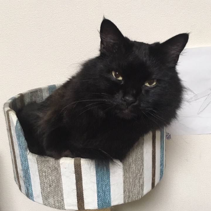 7cdfdb73 fbf9 4441 8c39 bd2138f3984e