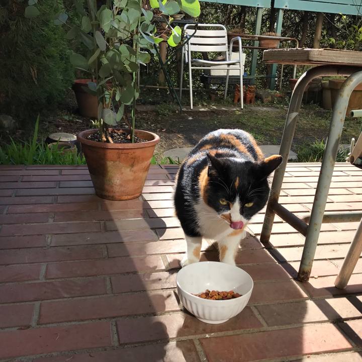 7ce10cda d8db 4f59 8ee3 baba5630877a