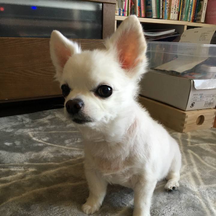 7ce16858 3c1e 4b4c 8e69 4bb781412f80