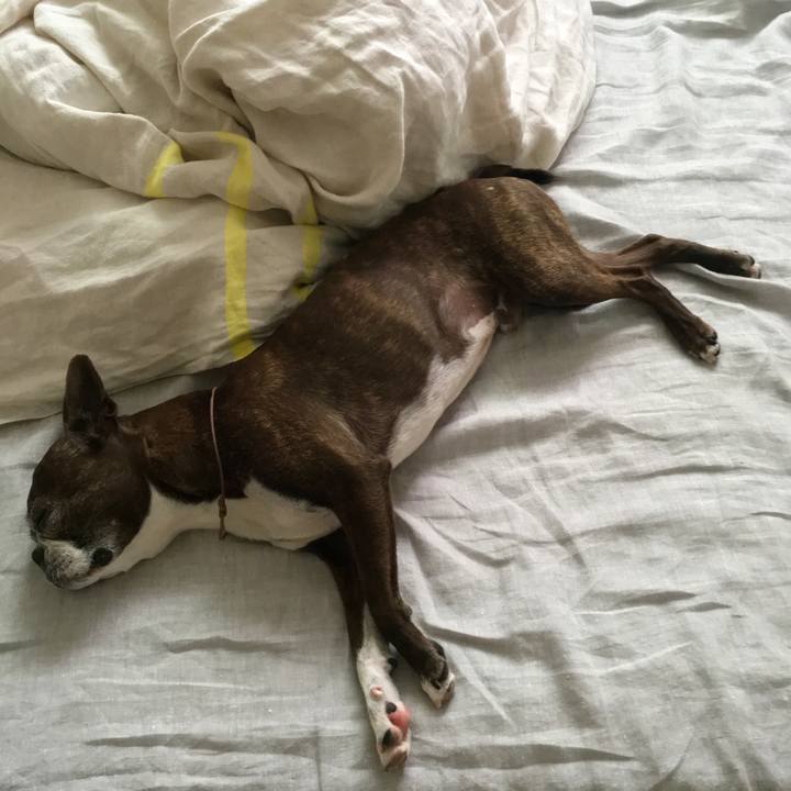 7ce16b67 a498 4ad9 85f8 89b2a9689537