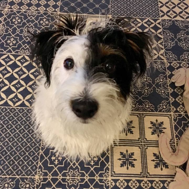 7ce1809b 2f85 4264 99f8 217b0db8a64e