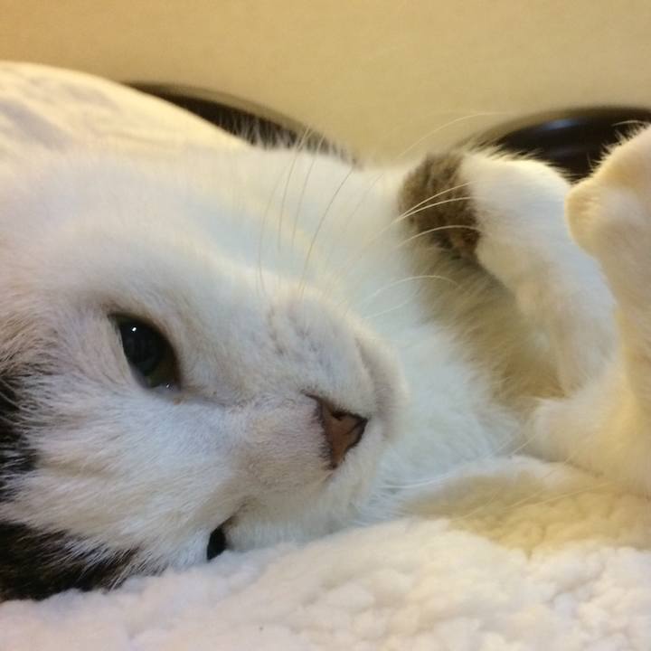 7ce1be8b 43b8 4f2e bb1a 3b417b093efa