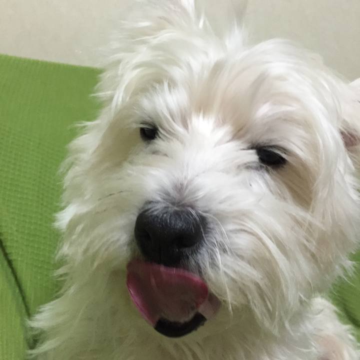 7ce27b4e ff4a 4085 8a47 c84f4b6dec9c