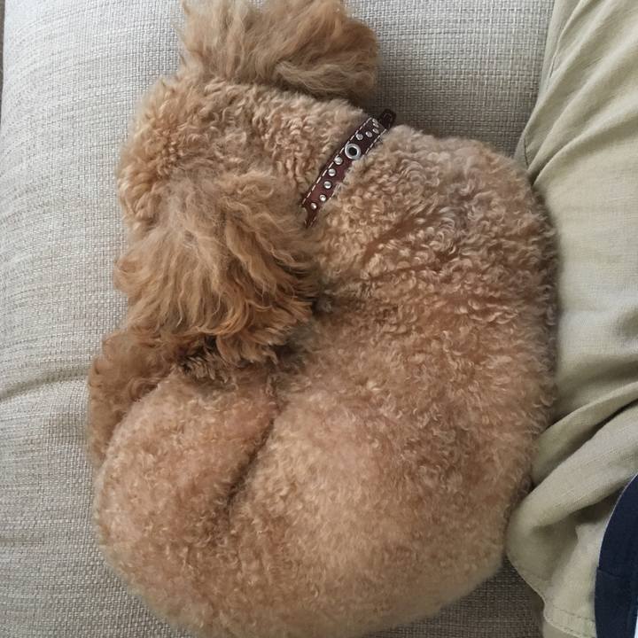 7ce32f5a 2919 4e8c a88b 8c7d8e681612