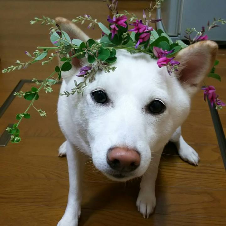 7ce3e0f9 afd4 4a40 a1d3 92ecabfc206e