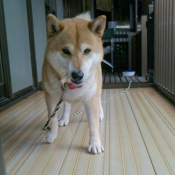 7ce52b4e c1b1 4228 9574 60270ae28118