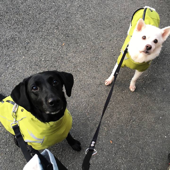 7ce54aa3 d672 4b1b bf86 1ea36a66bdee