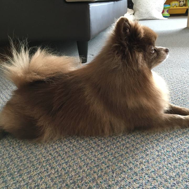 7ce5769c 7f56 4530 819c 1a0440ac2bee