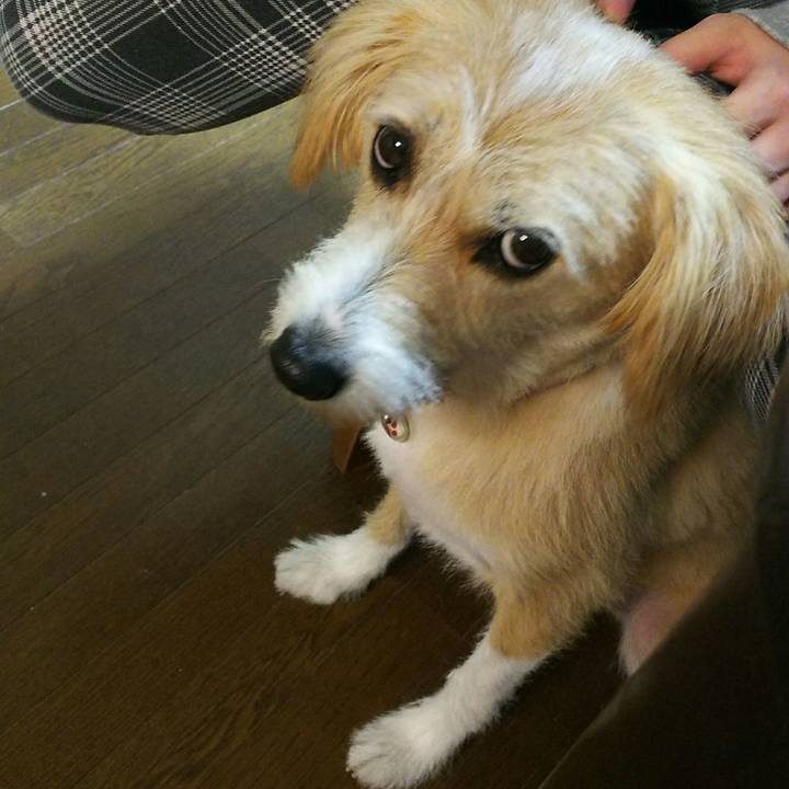 7ce591cb 3c77 4712 98e6 2dc212620010