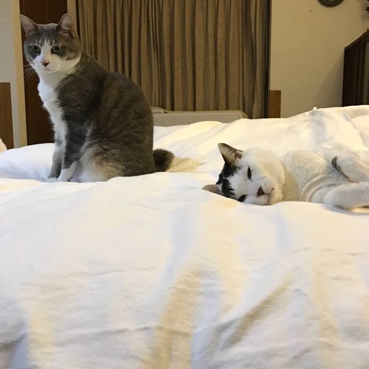 7ce5b670 c8da 49de 869b 49754f25d210