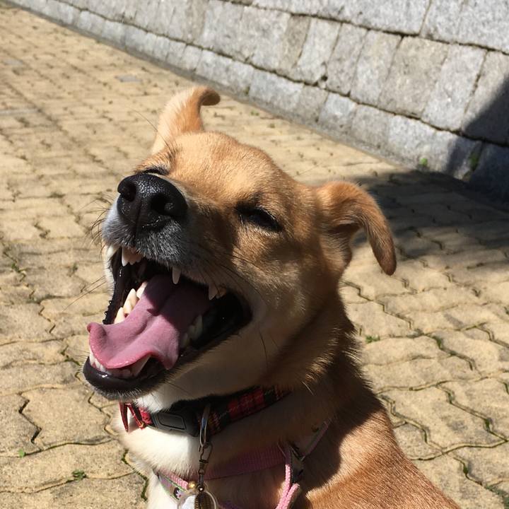 7ce5c687 2386 45be 9011 0f81e2aad447